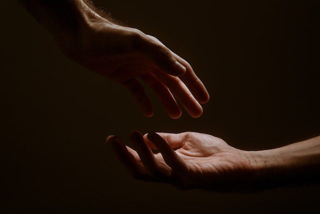 jackson-david-8qudl9pDZJ0-unsplash jackson-david-8qudl9pDZJ0-unsplash